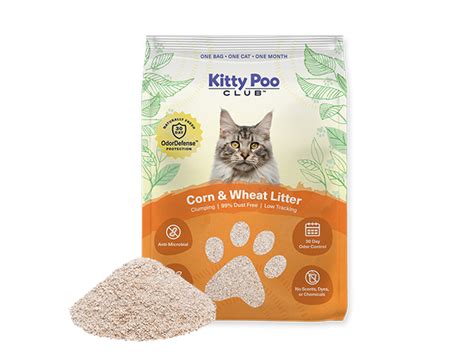 best natural cat litters|6 Best Natural, Organic & Biodegradable Cat Litters Of 2024 .